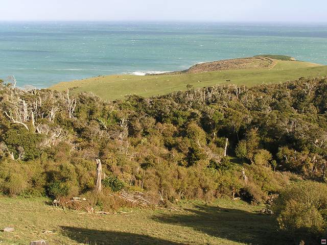 The Catlins Coast 033.jpg